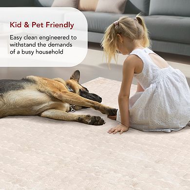 nuLOOM Nia Tile Faux-Fur Rabbit Machine Washable Area Rug