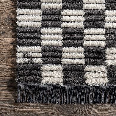 nuLOOM Pania Contemporary Checkered Fringe Area Rug