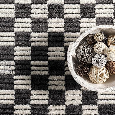 nuLOOM Pania Contemporary Checkered Fringe Area Rug