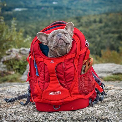 Kurgo G-Train Backpack