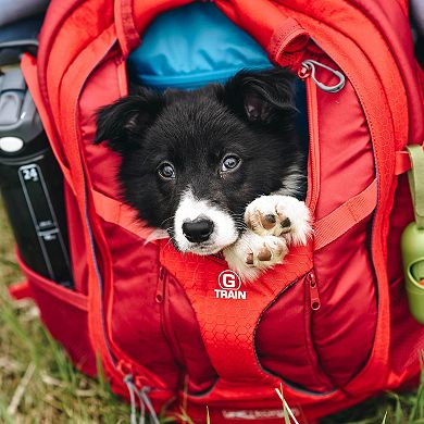 Kurgo G-Train Backpack