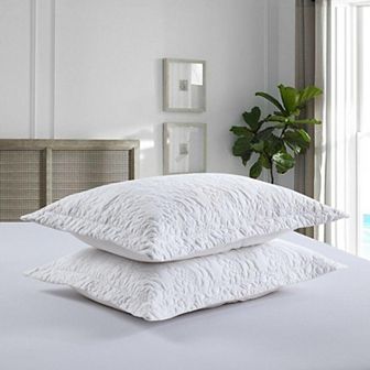 Marcielo 2 pc Embroidered Pillow Shams