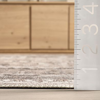 nuLOOM Davi Faded Spill Proof Machine Washable Area Rug