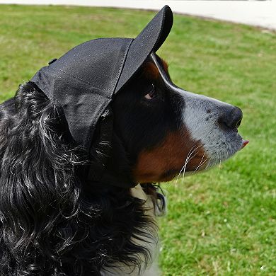 Detroit Lions NFL Pet Baseball Hat
