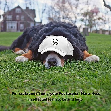 Detroit Lions NFL Pet Baseball Hat