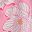 Pink Magnolia Shadows