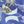 Shoreline Blue Icon