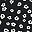 Black Ivory Floral