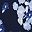 Navy Floral Print