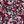 Navy Red Ditsy Floral