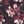 Black Merlot Floral