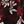 Black Red White Floral