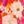 Pink Multi Floral