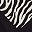 Black Zebra Heart