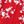 Hot Red White Floral