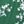 Tropical Green White