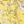 Primrose Yellow Floral