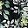 Black Multi Green