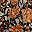 Black Rust Floral