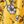 Primrose Yellow Floral