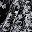 Black White Stencil
