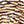 Gold Zebra Foil