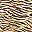 Gold Zebra Foil