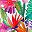 Island Bright Tropical