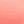 Sweet Coral
