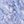 Dream Blue Floral