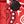 Red Bandana Print