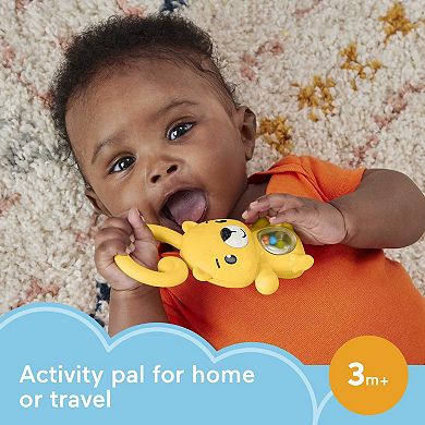 Fisher-Price Baby Rattle and Sensory Toy for Tummy Time, Shake & Rattle ...