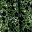 Green Vine Ditsy