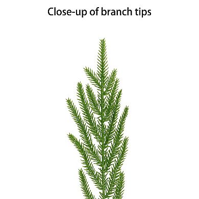 PULEO INTERNATIONAL 9-ft. Artificial Garland