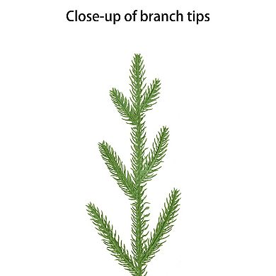 PULEO INTERNATIONAL 3-ft. Pre-Lit Potted Arctic Fir Artificial Christmas Tree