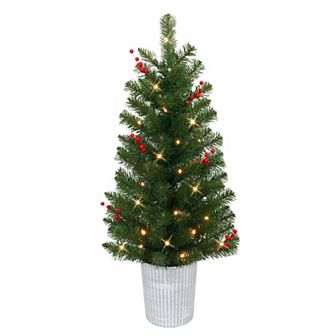 Puleo International Inc. 3.5-ft. Pre-Lit Potted Artificial Trees 2 pc Set