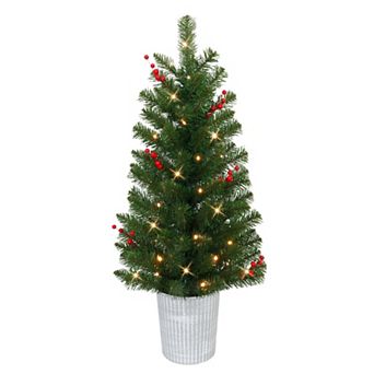 Puleo International Inc. 3.5-ft. Pre-Lit Potted Artificial Trees 2 pc Set
