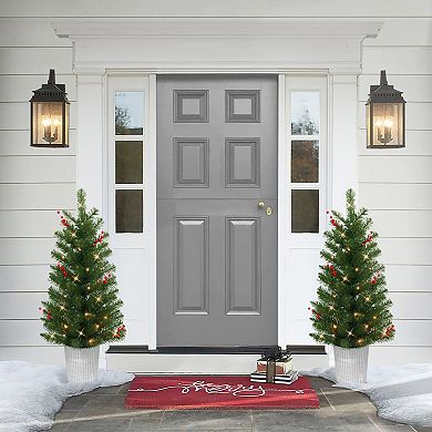 Puleo International Inc. 3.5-ft. Pre-Lit Potted Artificial Trees 2-piece Set