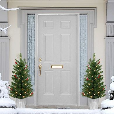 Puleo International Inc. 3.5-ft. Pre-Lit Potted Artificial Trees 2-piece Set
