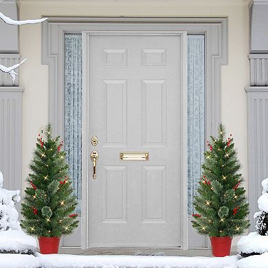 PULEO INTERNATIONAL 3.5-ft. Pre-Lit Artificial Potted Trees 2-piece Set