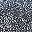 Black White Leopard