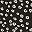 Black Ivory Floral