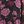 Black Dusty Pink