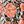 Black Rust Floral