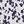 Ivory Black Ditsy
