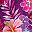 Spice Hibiscus