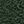Midnight Green