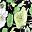 Black Green Floral