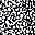 Black White Abstract