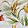 Chintz Floral Stripe